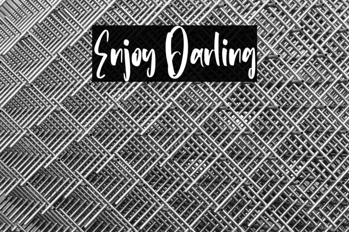 Enjoy Darling Example 1