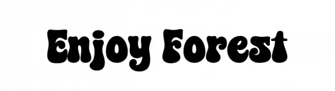Enjoy Forest  Fuentes Gratis Descargar