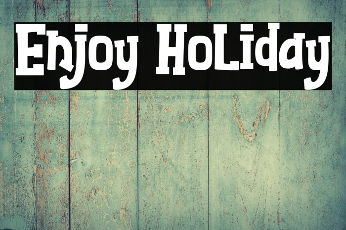 Enjoy Holiday Example 2