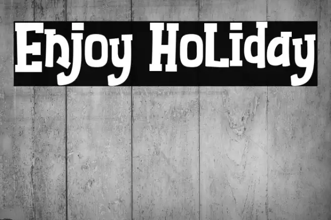 Enjoy Holiday Example 2