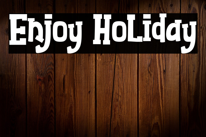 Enjoy Holiday Example 3