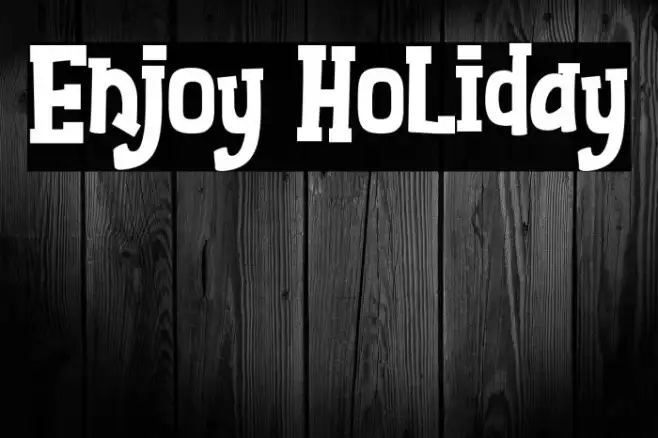Enjoy Holiday Example 3