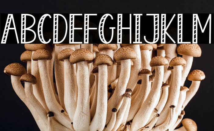 Enjoy Popcorn 2 Example 2