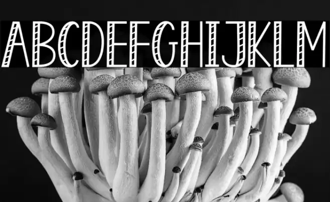 Enjoy Popcorn 2 Font examples