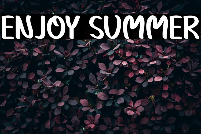 Enjoy Summer Example 1