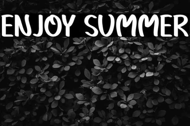 Enjoy Summer Example 1
