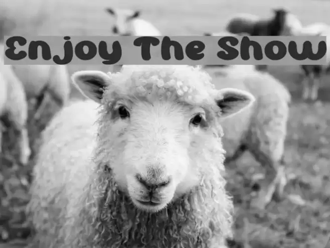 Enjoy The Show Font examples
