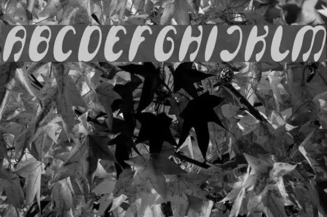 Enjoy The Time Bold Font examples