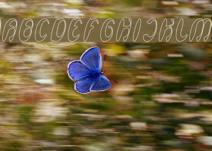 Enjoy The Time-Hollow Example 3