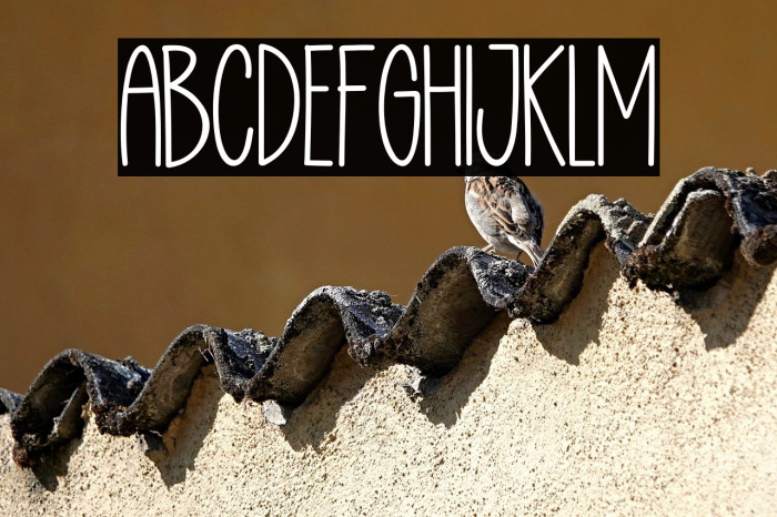 Enjoy Writing Example 2