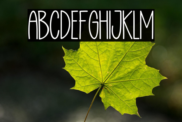 Enjoy Writing Example 3