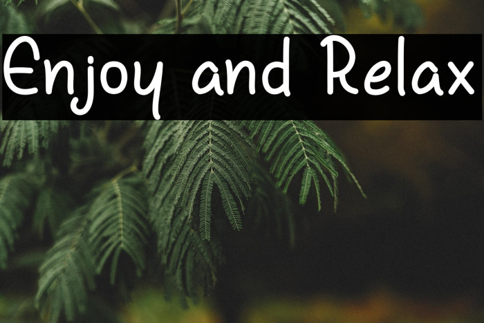 Enjoy and Relax Example 1