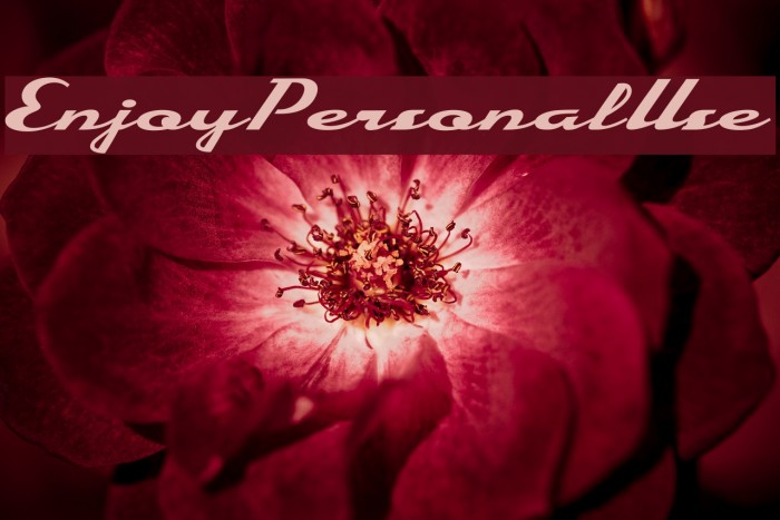 EnjoyPersonalUse Font examples
