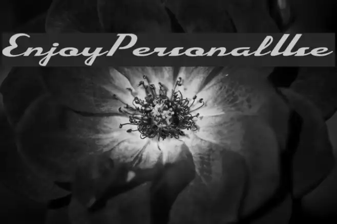 EnjoyPersonalUse Example 1