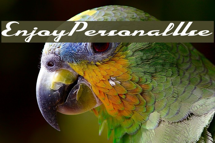 EnjoyPersonalUse Font examples