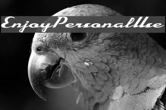 EnjoyPersonalUse Example 2