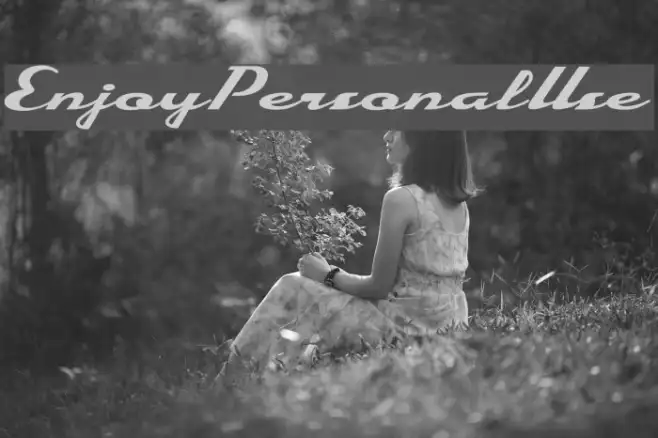 EnjoyPersonalUse Example 3