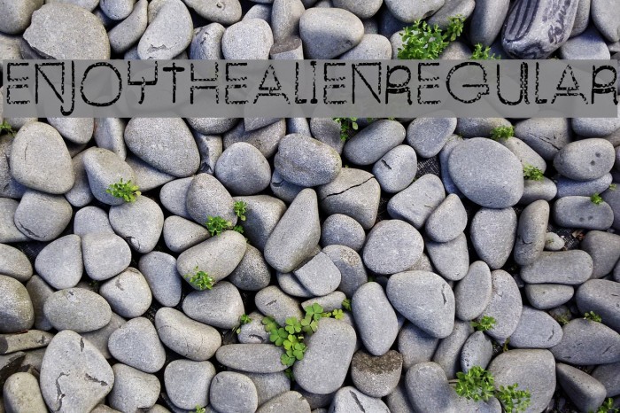 EnjoyTheAlien-Regular Example 1