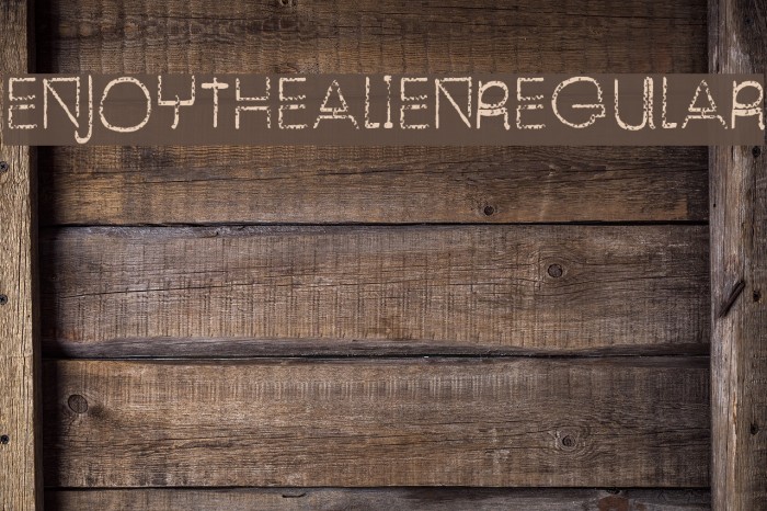 EnjoyTheAlien-Regular Example 3