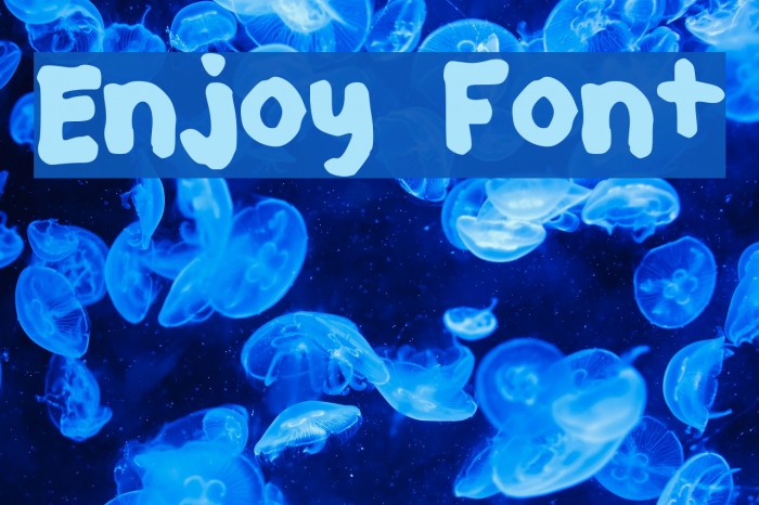 Enjoy Fonte examples