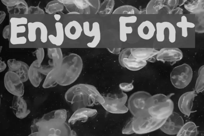 Enjoy Font examples