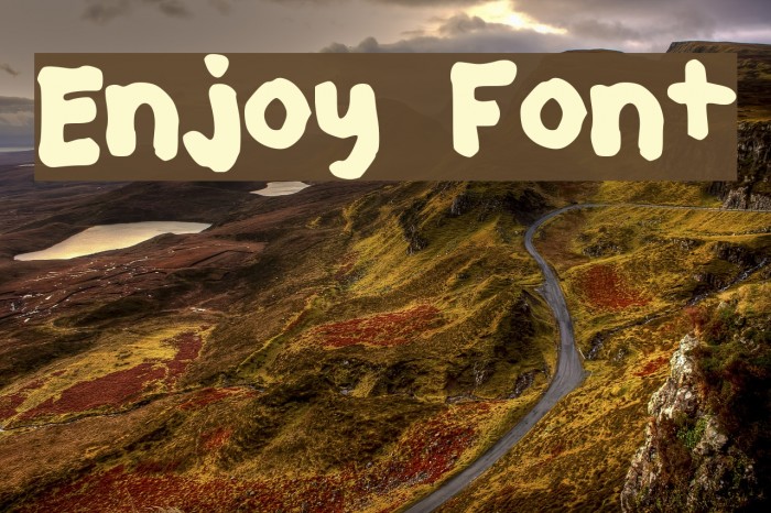 Enjoy Fonte examples