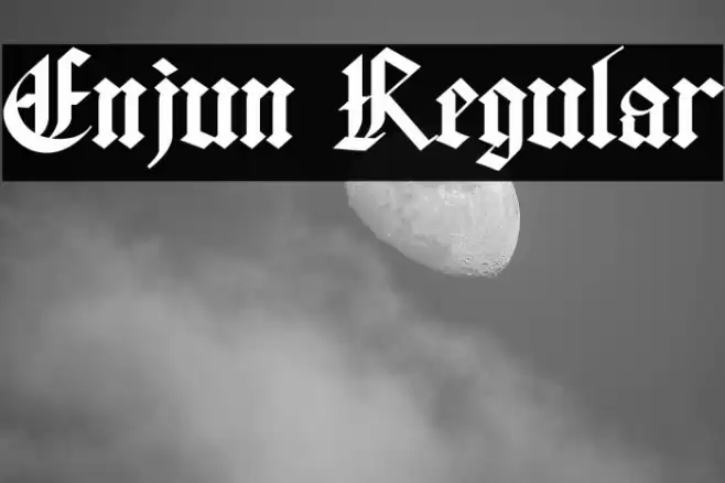 Enjun Regular Font examples