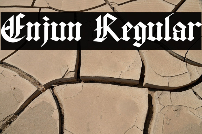 Enjun Regular Example 2