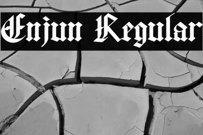 Enjun Regular Font examples
