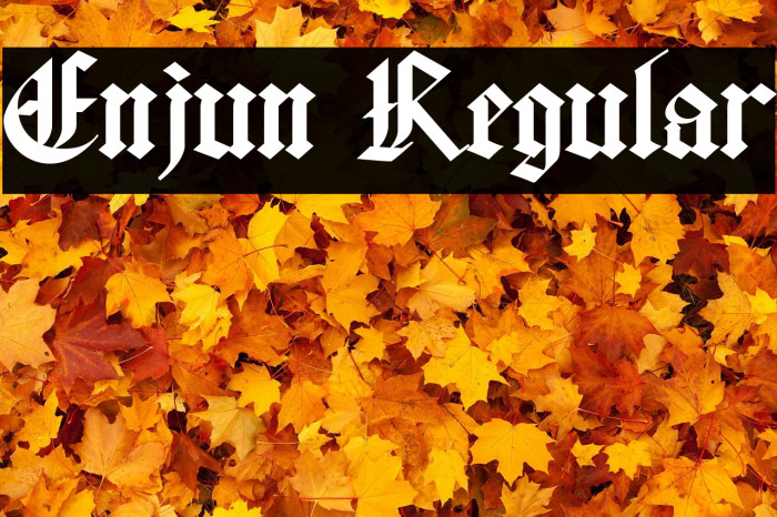 Enjun Regular Example 3