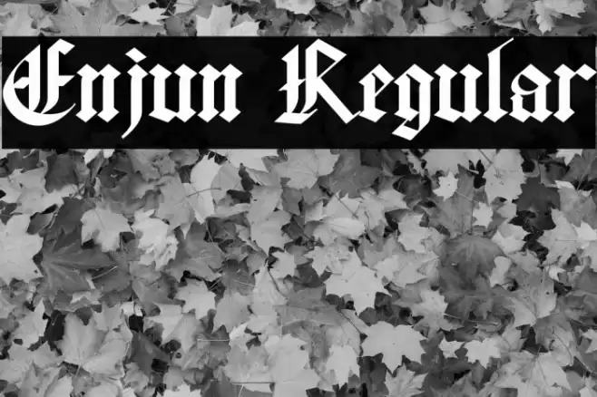 Enjun Regular Font examples