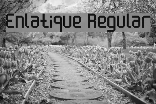 Enlatique Regular Font examples