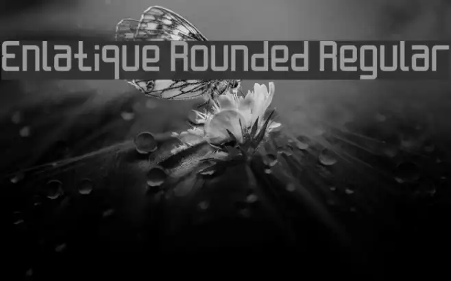 Enlatique Rounded Regular Example 2