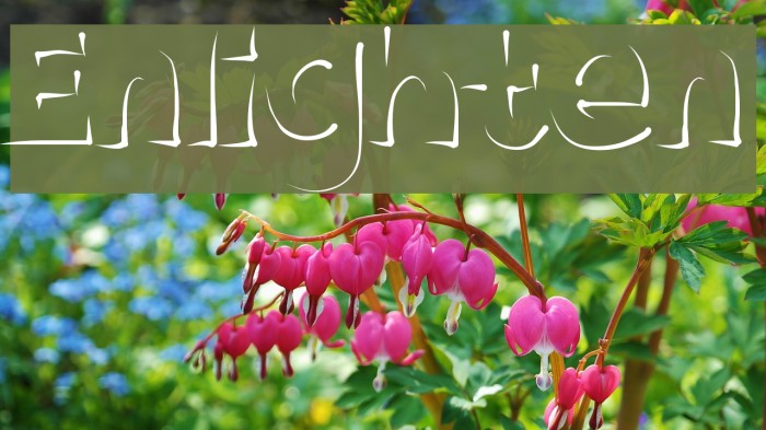 Enlighten Font examples