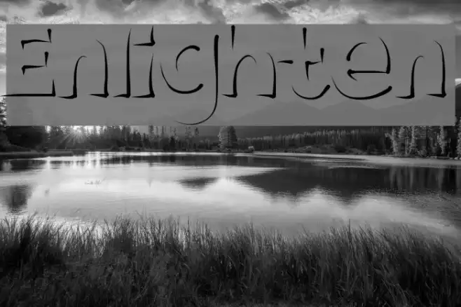 Enlighten Example 3