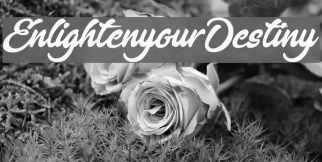 EnlightenyourDestiny Font examples