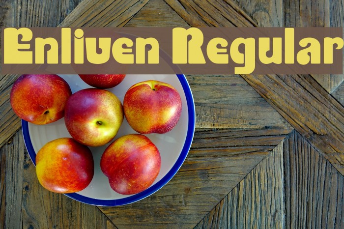 Enliven Regular Fonte examples