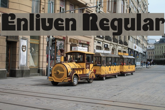 Enliven Regular Fonte examples