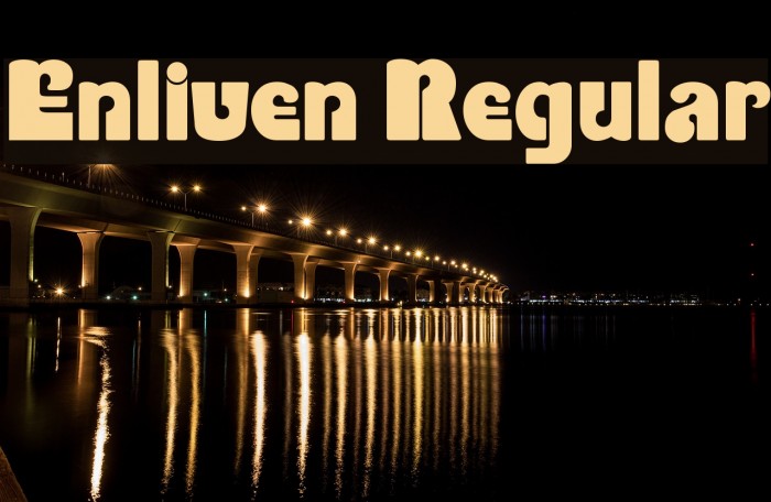 Enliven Regular Fonte examples