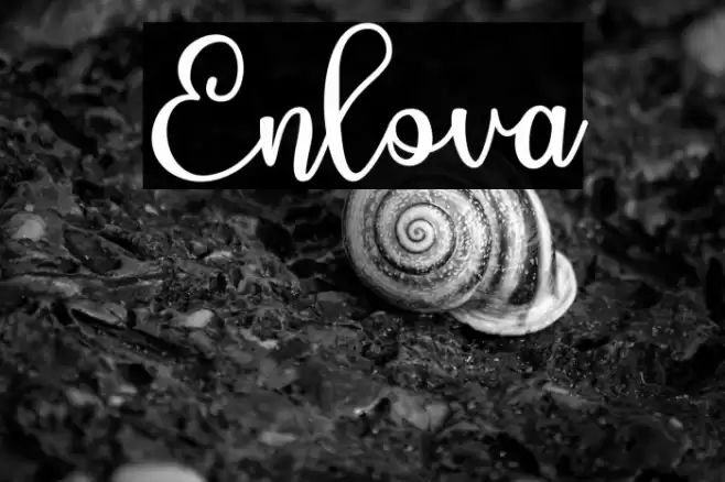 Enlova Font examples