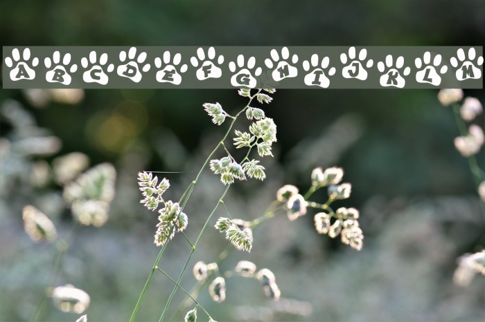 Ennobled Pet フォント examples