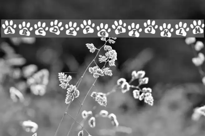 Ennobled Pet Example 3