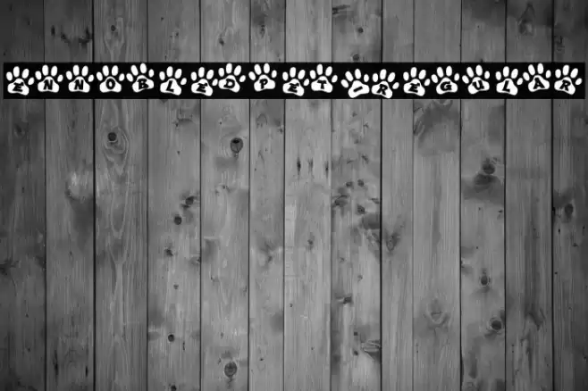 EnnobledPet-Regular Font examples