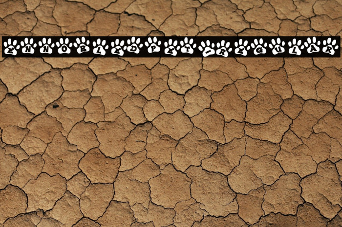 EnnobledPet-Regular Example 3