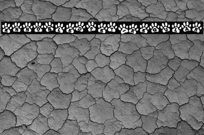 EnnobledPet-Regular Font examples