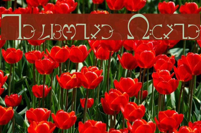 Enochian Plain Font examples