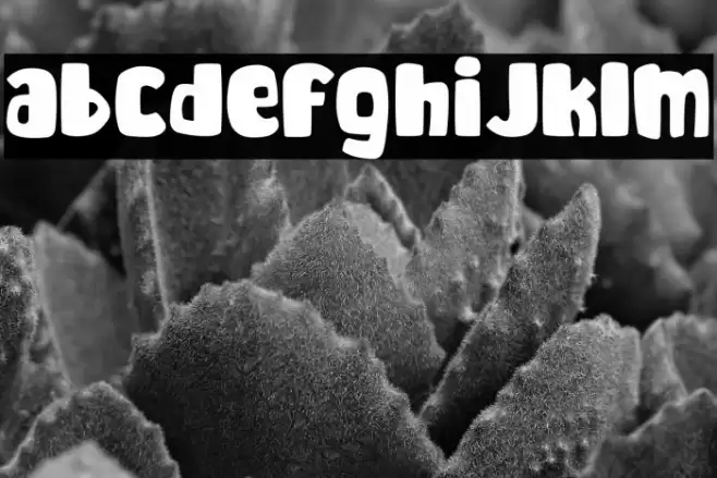 Enough Cute For You Font examples