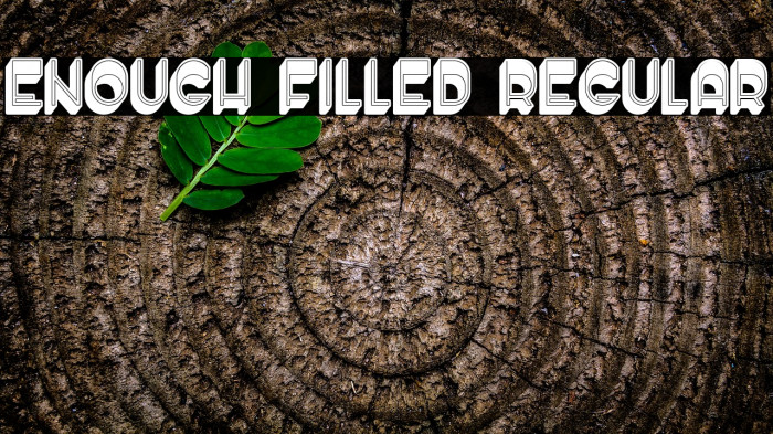 Enough Filled Regular Example 1