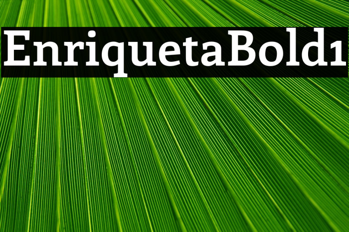 Enriqueta-Bold1 Example 3