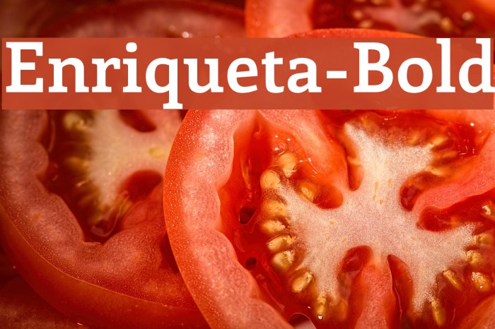 Enriqueta-Bold Font examples